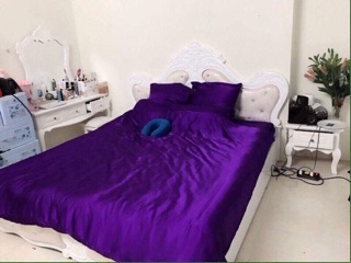 Bộ drap phi lụa Thái Tuấn( phối bèo)