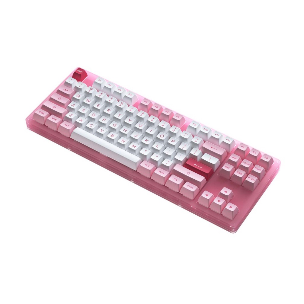 [ XẢ HÀNG ] Bàn phím cơ AKKO ACR87 Pink/White/Blue/Black (Hotswap / RGB / AKKO CS sw Jelly Pink)