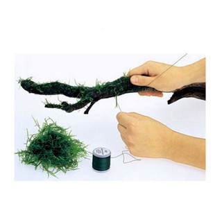 Cước siêu mảnh chuyên dụng buộc rêu vào lũa