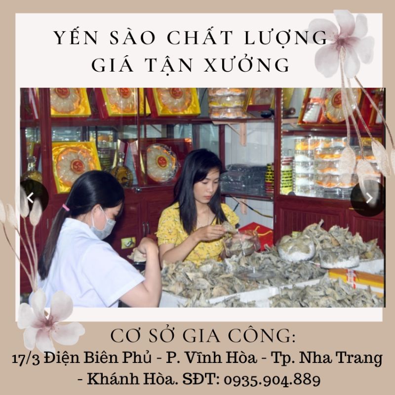 100gr Tổ yến thô ít lông tặng kèm nguyên liệu chưng, tổ yến Khánh Hòa