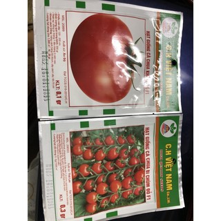 Hạt giống Cà Chua F1 🌱