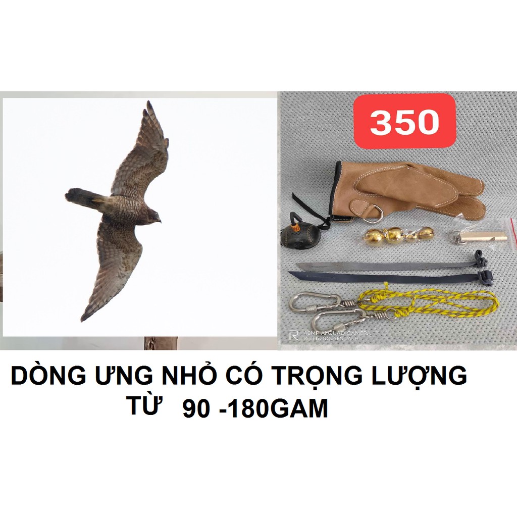 PHỤ KIỆN CHIM SĂN - Phụ kiện huấn luyện chim ưng nhỏ trọng lượng dưới 300gam