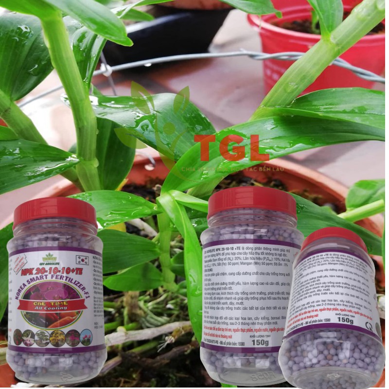 Phân tan chậm, phân thông minh Hàn Quốc, NPK 20-10-10+TE CSV- AGROLIFE 150gr, thích hợp với hoa lan, cây kiểng, bon sai