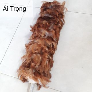 Chổi Lông Gà Giá Rẻ