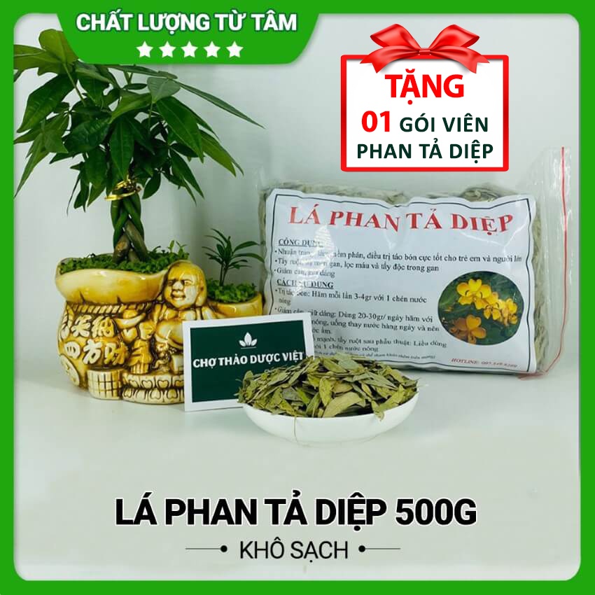 Phan tả diệp 500g ( Lá phan tả diệp khô, thơm hỗ trợ nhuận tràng, giữ gìn vóc dáng) - Chợ Thảo Dược Việt