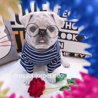 Áo thun chó mèo, Áo thun xanh đen sọc trắng chó mèo, Áo thun thú cưng