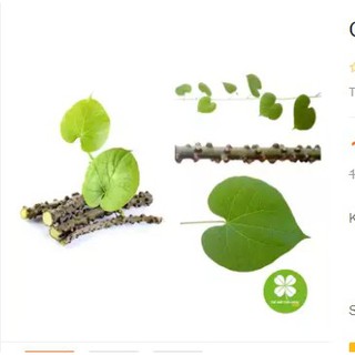 Cây Thần Thông Khô (1KG) - LCS120
