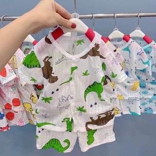 Sỉ cotton giấy