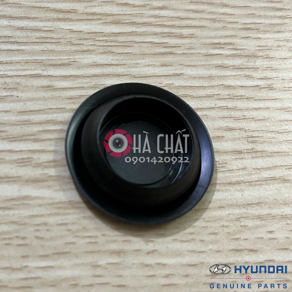 Nút đậy sườn xe, cánh cửa xe Hyundai và Kia 🚘 nhập khẩu chính hãng Hàn Quốc 🎯 Bảo hành 100% là hàng chính hãng