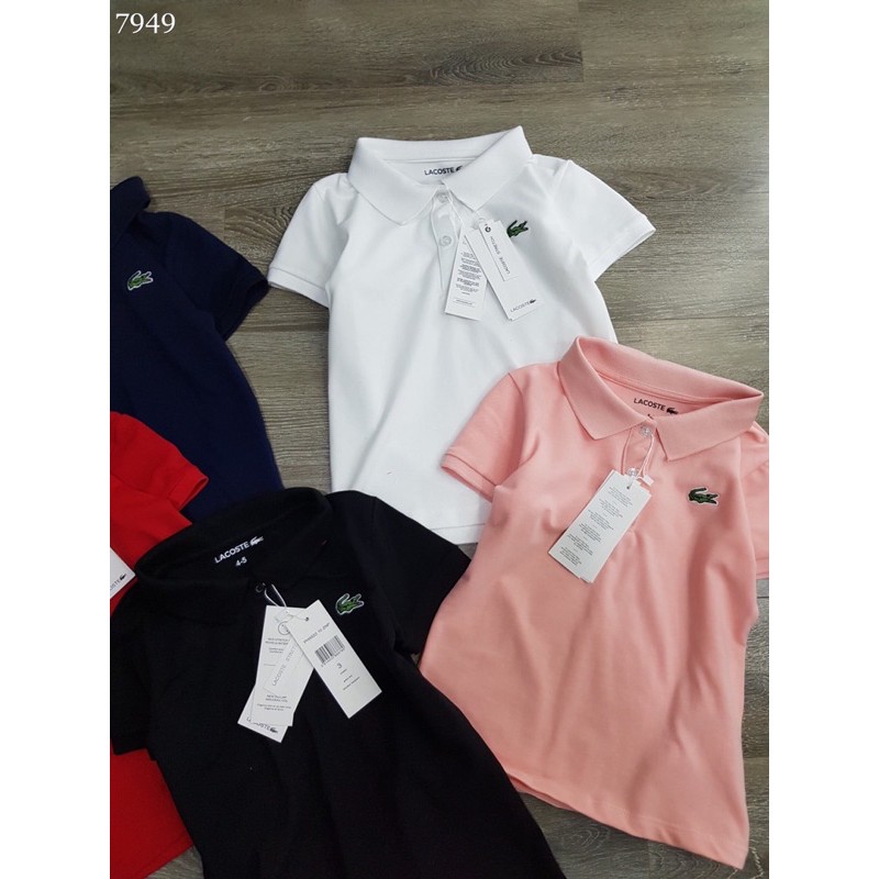 Áo polo Lacoste