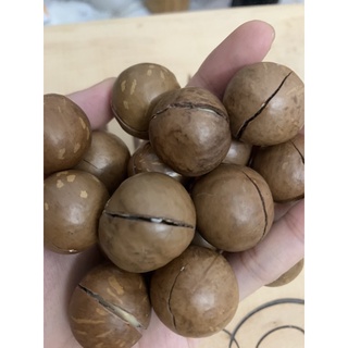 Hạt Mắc Ca Úc nứt vỏ