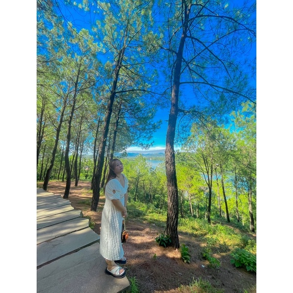 Bigsize siêu phẩm, hót hít , đầm bigsize , đầm dự tiệc