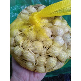 TỎI CÔ ĐƠN LÝ SƠN QUẢNG NGÃI 1kg - CHÍNH GỐC
