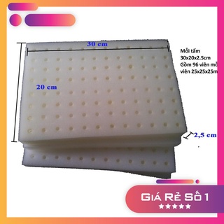 Bộ 5 tấm mút xốp ươm hạt trồng thủy canh, mỗi tấm 96 viên có lỗ gieo hạt