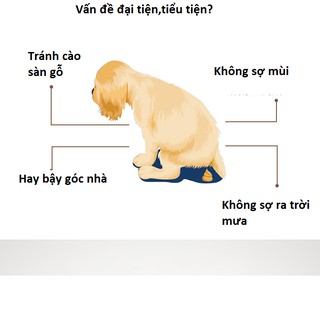 [Size lớn] Khay vệ sinh chó mèo có cọc