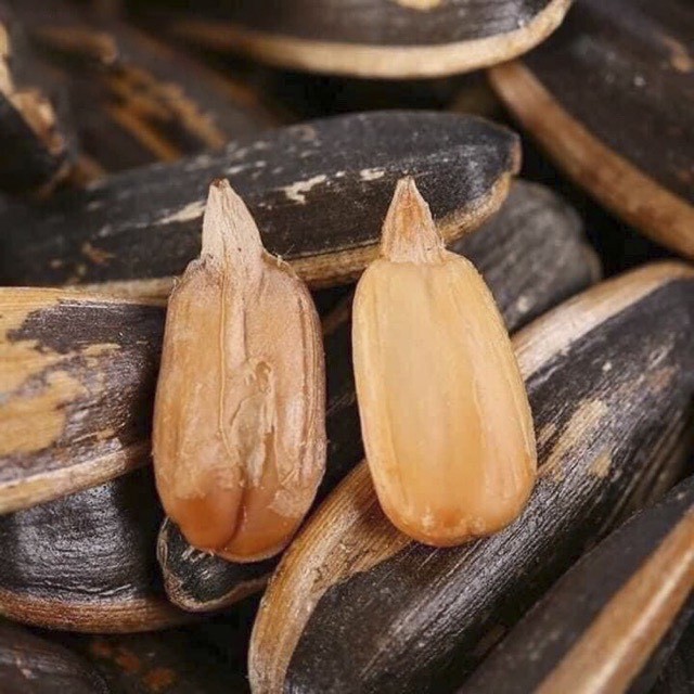 Hạt Hướng Dương Rang Sẵn | Vị Dừa - Vị Óc Chó - Vị Táo Đỏ | Bảo Mẩy - Bao Ngon | Túi 100gr | BigBuy360 - bigbuy360.vn