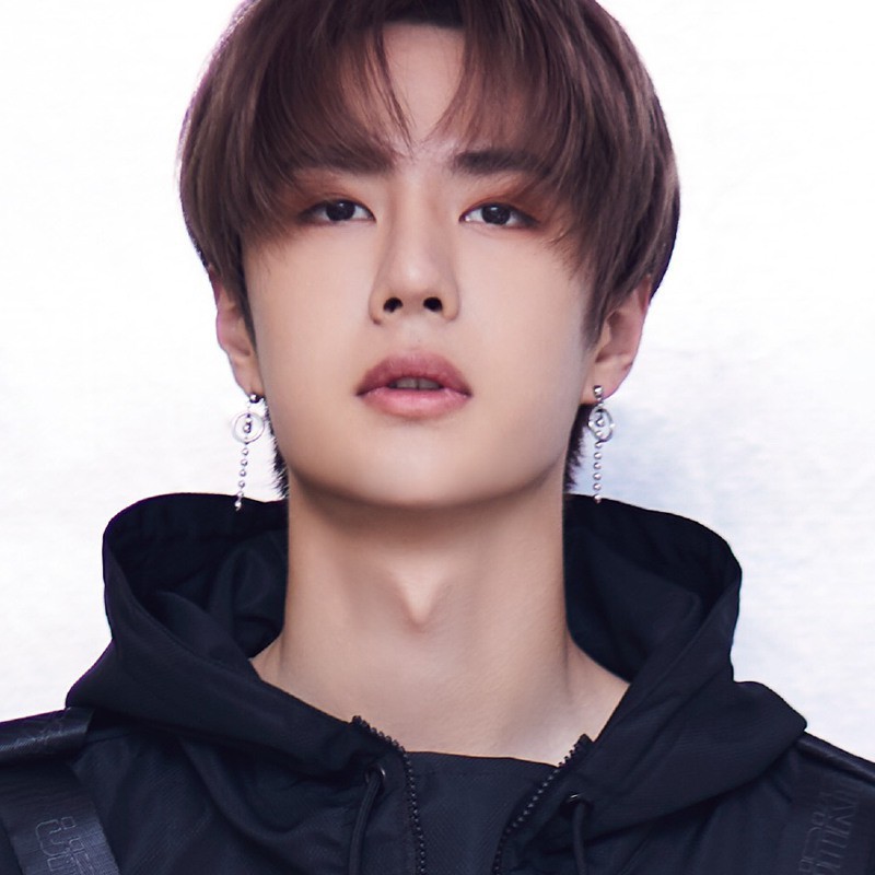 Bông Tai Thép Titan Dáng Dài Phong Cách 101 Wang Yibo Cho Nam Và Nữ A710