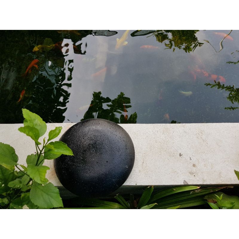 Nấm che hút đáy bể cá