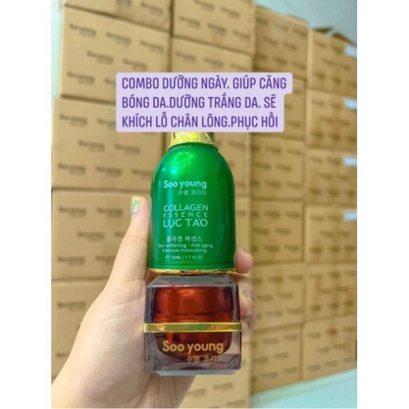 Bộ đôi dưỡng da kem face lục tảo Soo Young và serum essence Lục tảo Soo Young