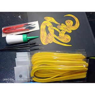Bộ kit tự làm p l t