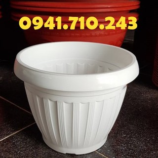 Chậu nhựa trắng sọc dọc (24cm x cao 17cm) - Shop chậu cảnh