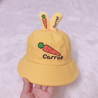 Nón tai bèo tai cà rốt cho bé trai bé gái