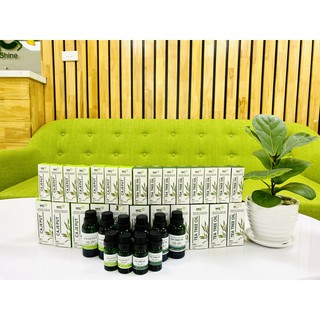 Tinh dầu tràm trà nguyên chất - 30ml