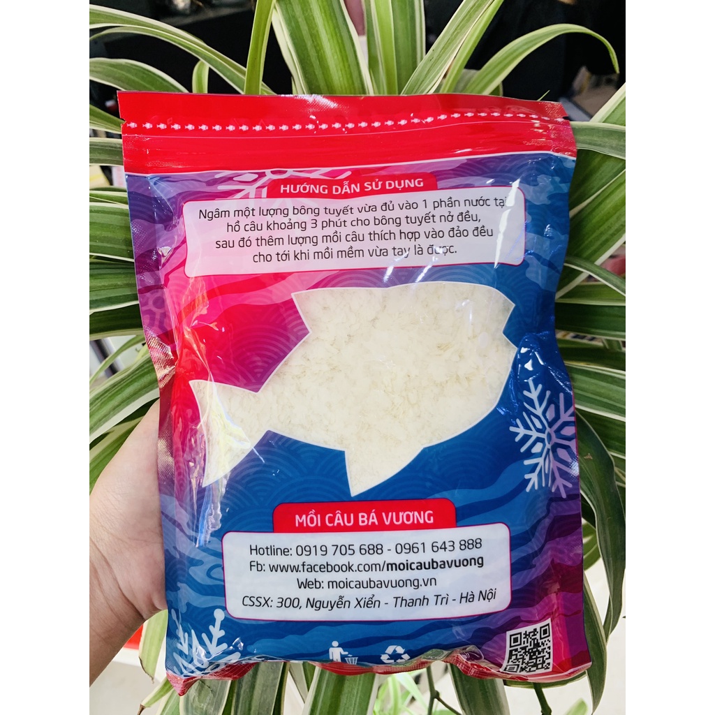 Bông tuyết Bá vương - Bá Vương fishing