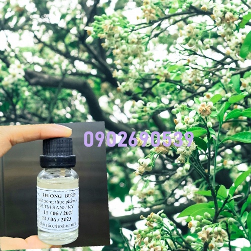 Nước hương bưởi Sanh Ký 20ml
