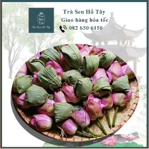 Trà Sen Hồ Tây Chè ướp nguyên bông sen ngon thượng hạng Thư Bảo Trà