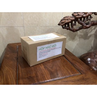 Hộp nhử mối tận gốc