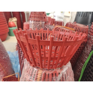 Chậu Nhựa Trồng Lan, Chậu Lan Nan Phụ ( Lan Que) PHI 20, PHI 25, PHI 30