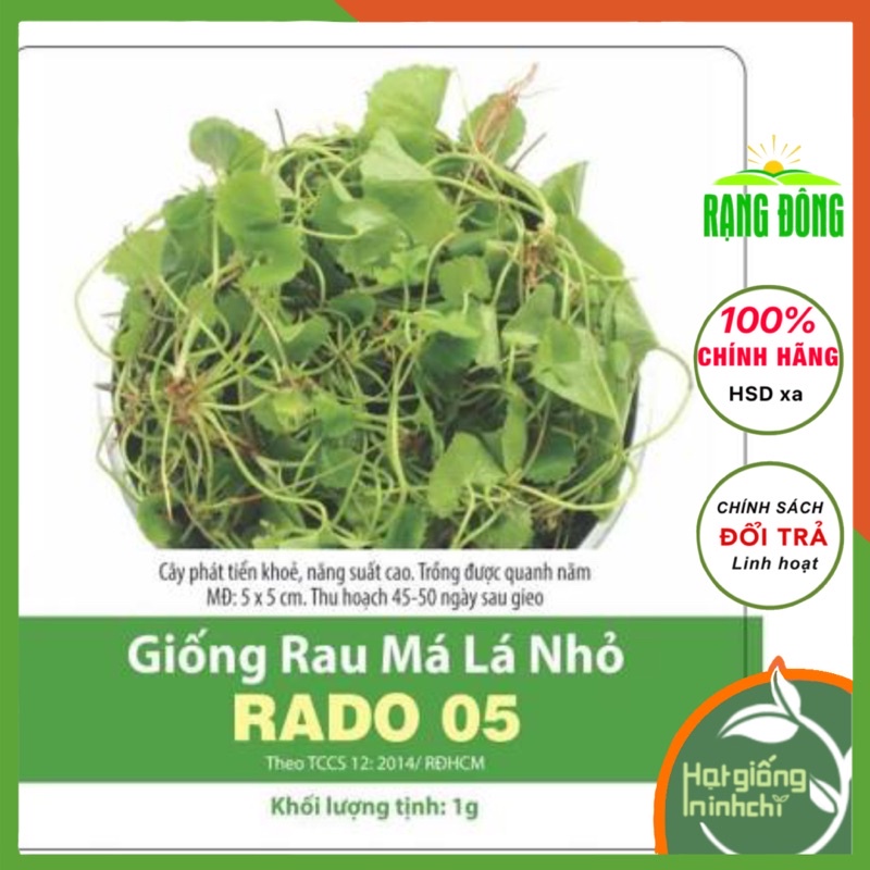 Hạt giống rau má lá nhỏ Rado (Rau má ta, Rau má hương), Rau củ quả trồng sân thượng, ban công.