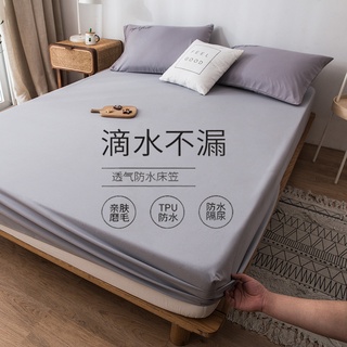 Household brushed waterproof mattress protective cover dust cover non-slip double bedspread urine-proof breathable single bed cover CTH8