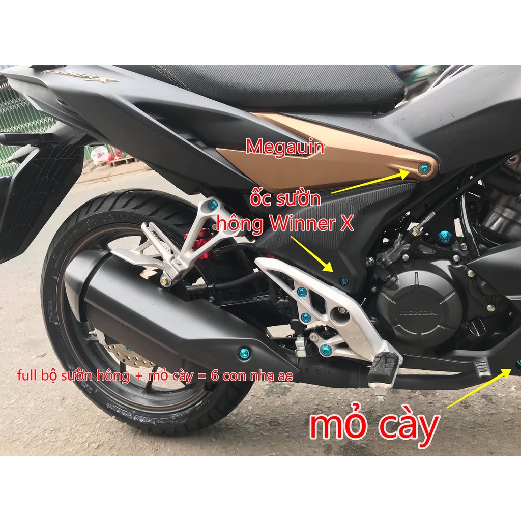 Ốc Titan GR5 sườn hông, mỏ cày Winner X (ốc dàn áo GR5 winner X)