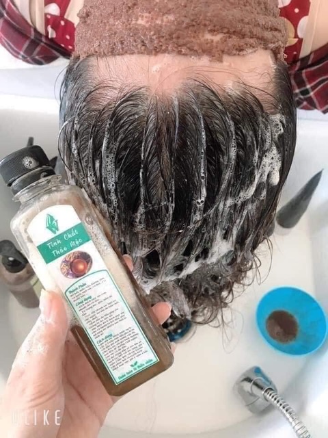 [10 chai 190k ] Tinh dầu gội thảo mộc | BigBuy360 - bigbuy360.vn