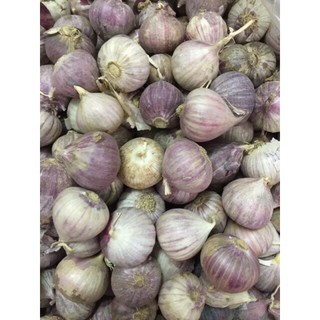 Tỏi Cô Đơn