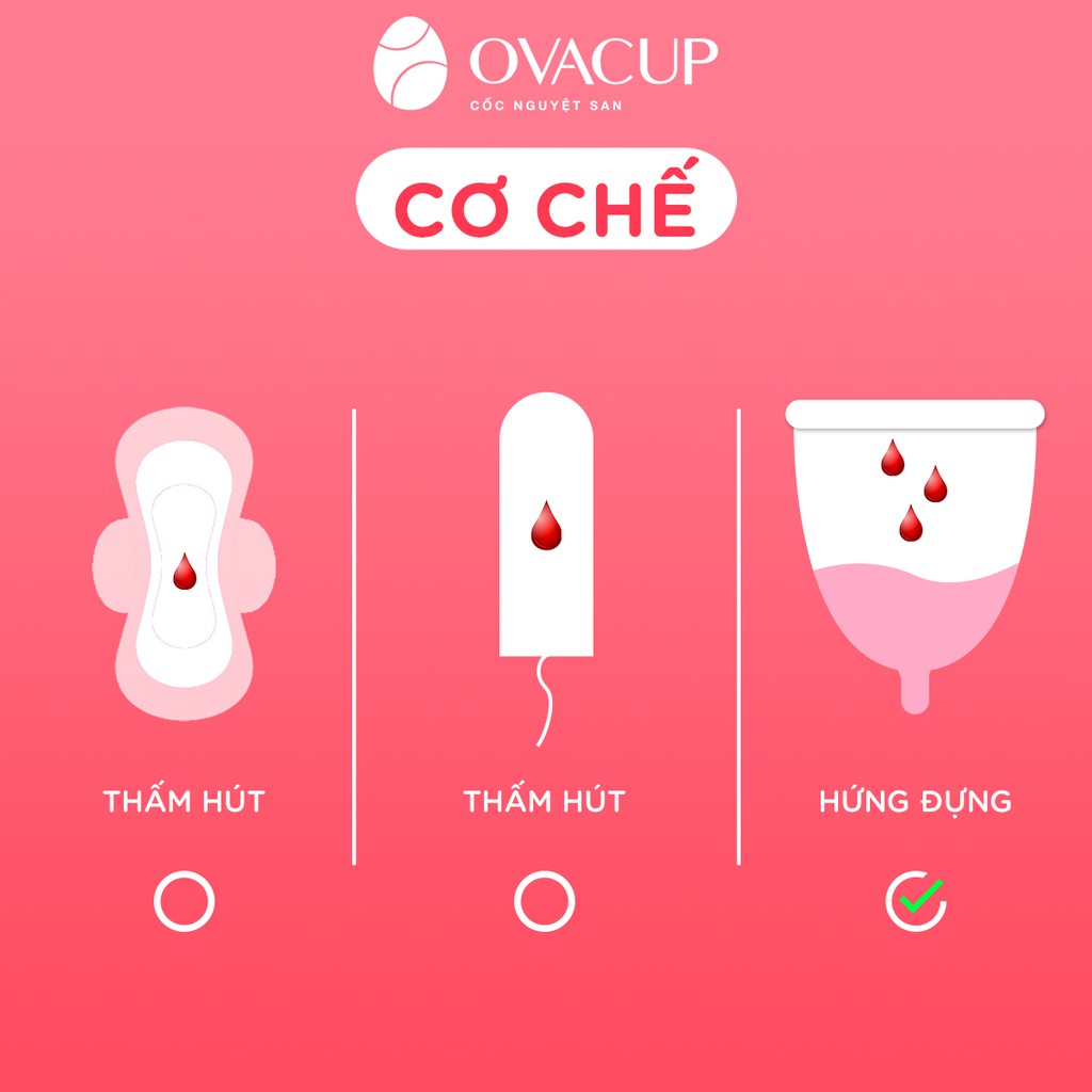 Combo Cốc nguyệt san OvaCup và dung dịch vệ sinh cốc OvaCare dung tích 30ml