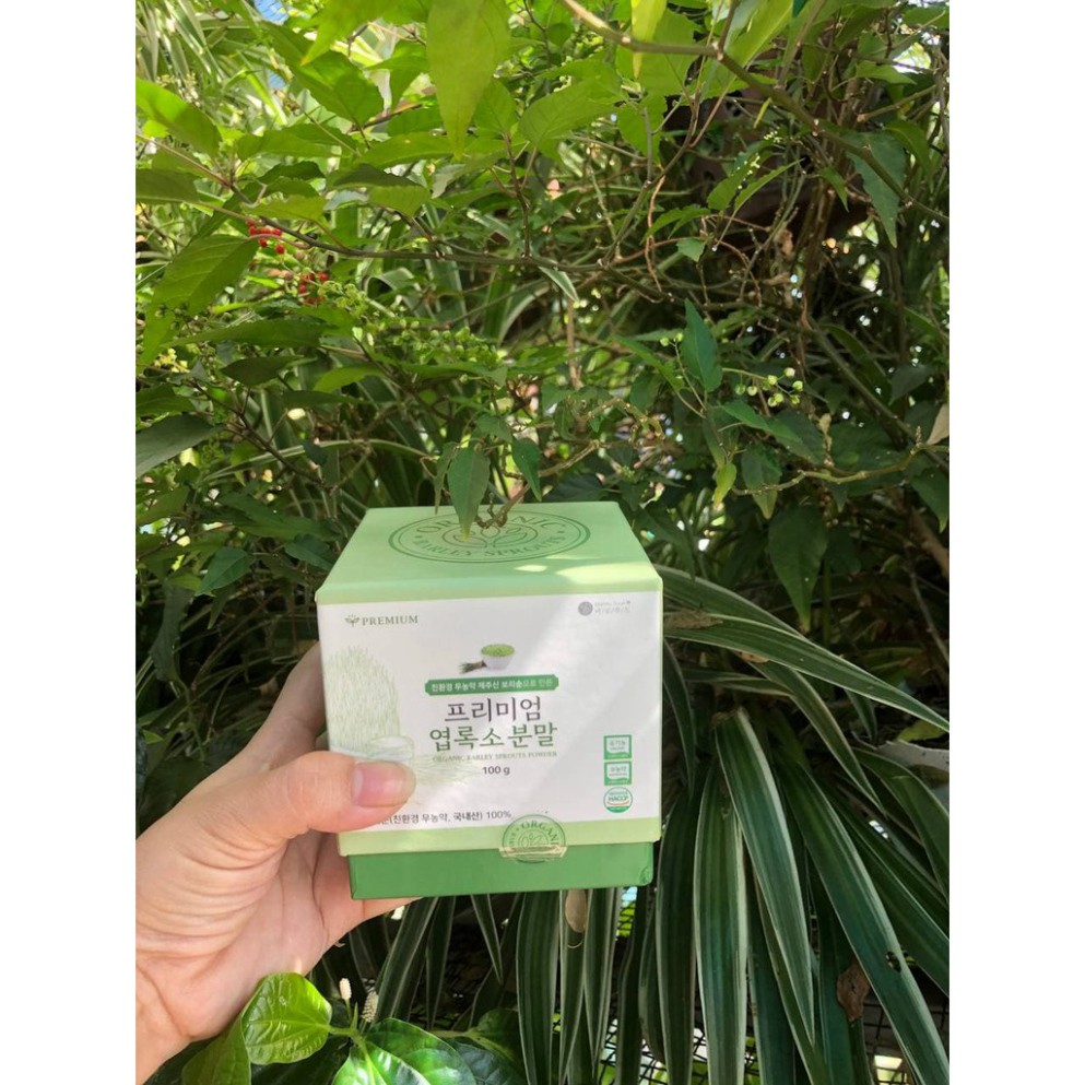 BỘT DIỆP LỤC HÀN QUỐC ORGANIC BARLEY SPROUTS POWDER 100gr