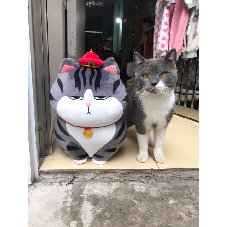 Gấu bông Heo Phê Cần mặt ngáo ngơ ngộ nghĩnh đáng yêu