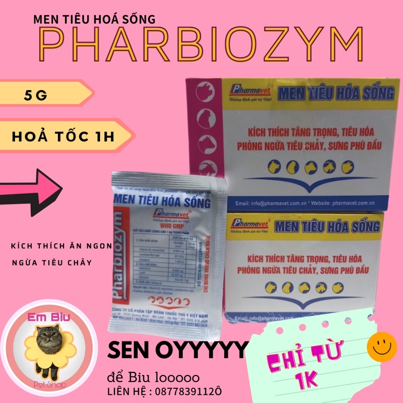 Men tiêu hoá sống Pharbiozym kích thích tiêu hoá , ngừa tiêu chảy cho thú cưng