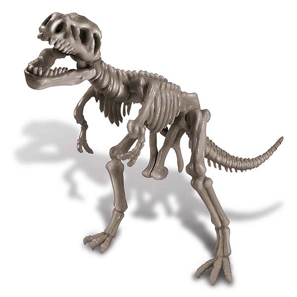 Mô Hình Bộ Xương Khủng Long 4m (T-Rex) / 00-03221
