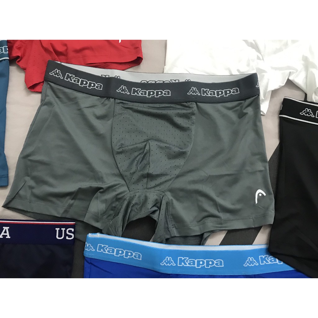 Quần Lót Poly Boxer dạng đùi Nam Thể Thao Chuyên cho người tập Gym thun lạnh Hàn Quốc Head, Kappa, K-Swiss