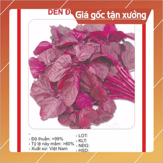Hạt giống rau Dền Đỏ 20gram Hạt giống