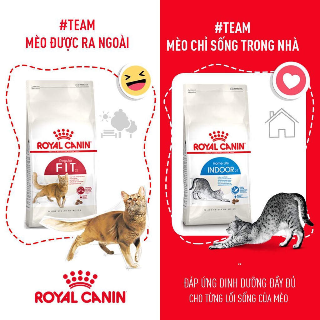 Hạt cho mèo Royal canin fit 32 2kg, mèo lớn hay vận động nuôi ngoài nhà trưởng thành Con Mèo Xiêm