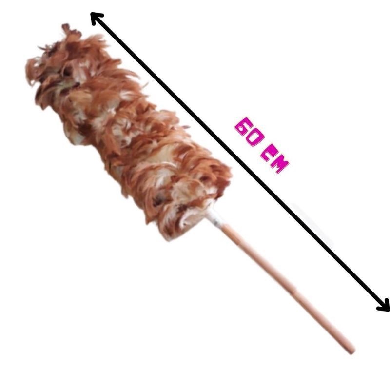 Chổi Lông Gà Mỹ