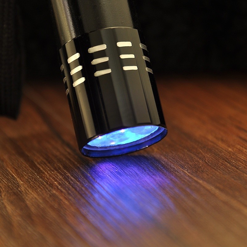 1 Đèn Pin Led Tia Cực Tím Mini Cầm Tay