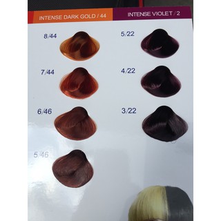 Thuốc Nhuộm Tóc Everflor Màu Đồng và Tím
