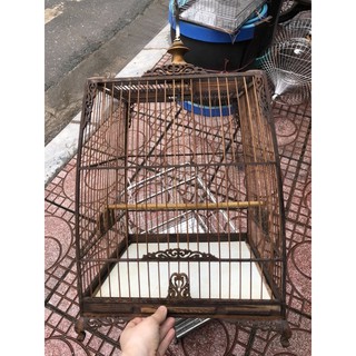 lồng thái đấu chào mào