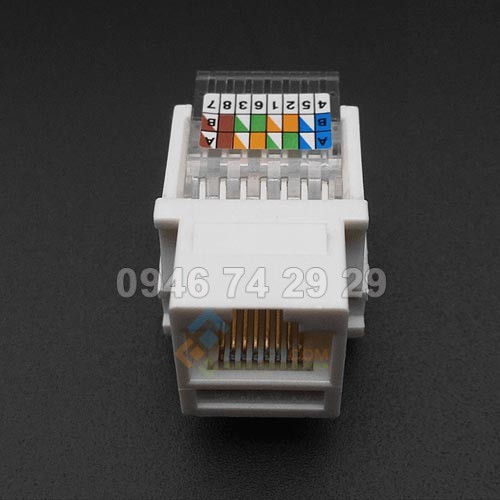 Nhân mạng AMP CAT3, CAT6 dùng cho ổ cắm mạng